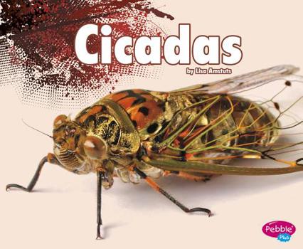 Hardcover Cicadas Book