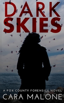 Paperback Dark Skies: A Fox County Forensics Lesbian Romantic Suspense Book