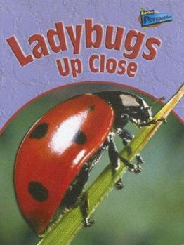 Library Binding Ladybugs Up Close Book