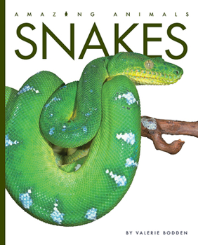 Snakes - Book  of the Animals are Amazing