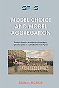 Paperback Model Choice and Model Aggregation Book