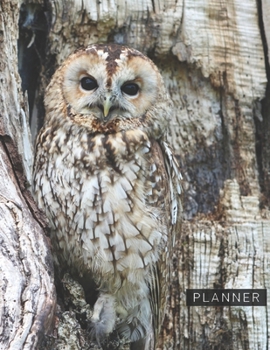 Planner: Owl 2 Year Weekly Planning Organizer | 2020 - 2021 | January 20 - December 21 | Writing Notebook | Productive Datebook Calendar Schedule | Plan Days, Set Goals & Get Stuff Done