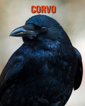 Corvo: Foto stupende e fatti divertenti Libro sui Corvo per bambini
