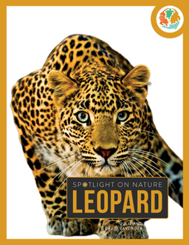 Paperback Leopard Book