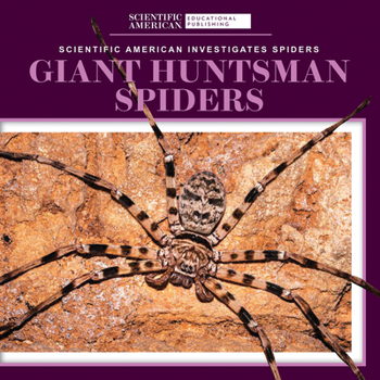 Giant Huntsman Spiders (Scientific American Investigates Spiders)