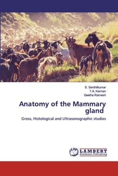 Paperback Anatomy of the Mammary gland Book