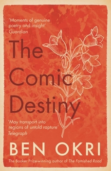 Paperback The Comic Destiny Book