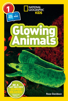 Paperback Glowing Animals (National Geographic Kids Readers, Level 1/Co-Reader) Book