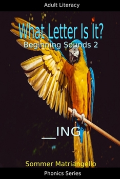 Paperback What Letter Is It? Beginning Sounds 2 Book
