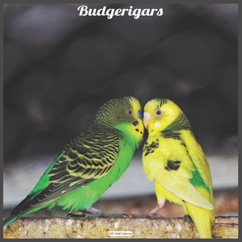 Budgerigars 2021 Wall Calendar: Official Budgerigar Wall Calendar 2021