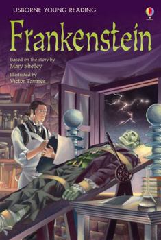 Frankenstein - Book  of the 3.3 Young Reading Series Three