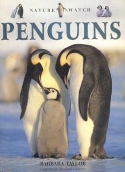 Hardcover Penguins (Nature Watch) Book