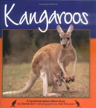 Hardcover Kangaroos Book