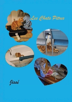 Paperback Les Chats Pitres [French] Book