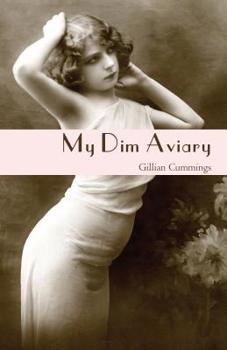 Paperback My Dim Aviary Book