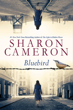 Hardcover Bluebird Book