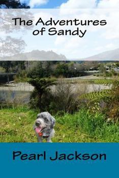 Paperback The Adventures of Sandy Book