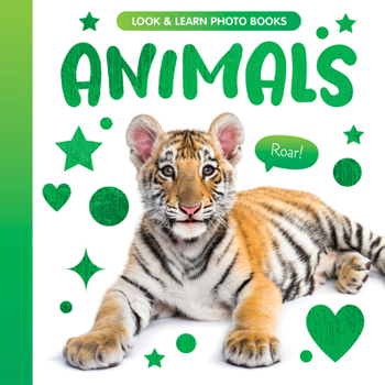 Board book Animals Book