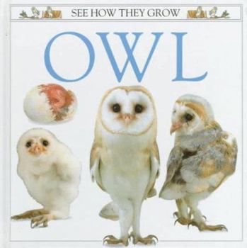 See How They Grow: Owl - Book  of the See How They Grow