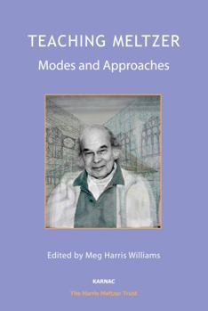 Paperback Teaching Meltzer: Modes and Approaches Book