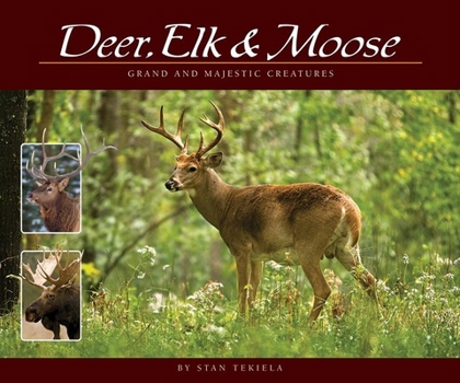 Paperback Deer, Elk & Moose: Grand and Majestic Creatures Book
