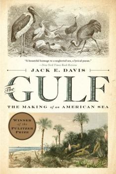 Paperback The Gulf: The Making of an American Sea Book