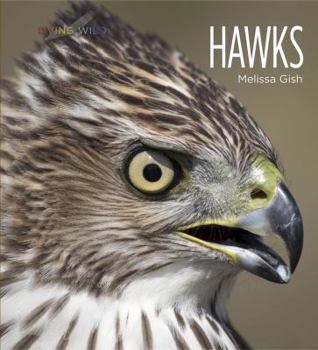 Hawks - Book  of the Living Wild