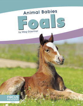 Paperback Foals Book