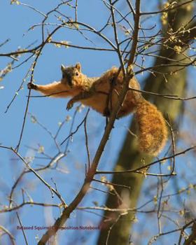 Paperback relaxed squirrel composition book