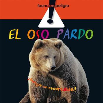 Hardcover El oso pardo (Fauna en peligro) (Spanish Edition) [Spanish] Book