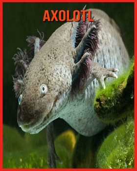 Paperback Axolotl: Amazing Pictures & Fun Facts on Animals in Nature Book