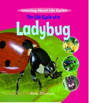 Library Binding The Life Cycle of a Ladybug Book