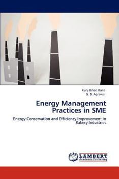 Paperback Energy Management Practices in SME Book