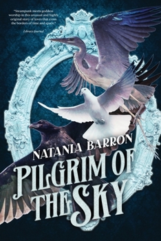 Paperback Pilgrim of the Sky Book