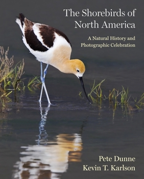 Hardcover The Shorebirds of North America: A Natural History and Photographic Celebration Book