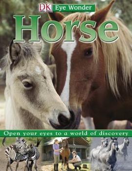 Hardcover Horse Book