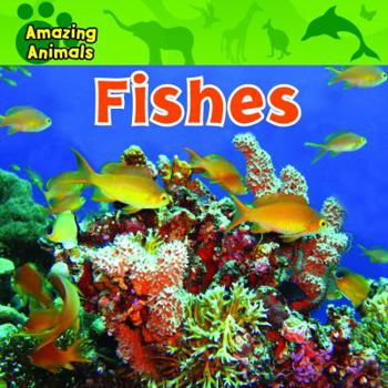 Fishes - Book  of the Amazing Animals