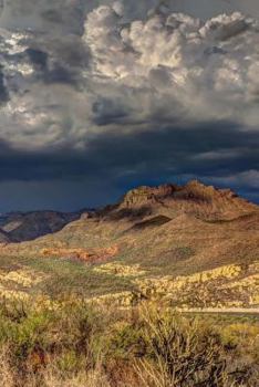 Paperback Arid Notebook Book