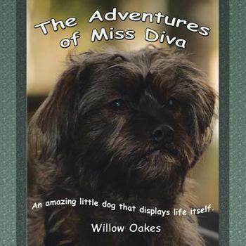 Paperback The Adventures of Miss Diva Book