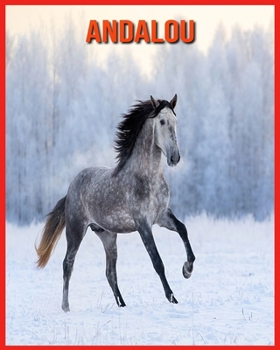 Andalou: Livre pour Enfants Images & Informations Etonnantes Concernant les Andalou