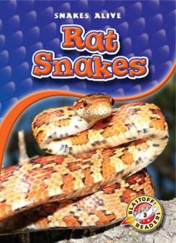 Rat Snakes - Book  of the Snakes Alive