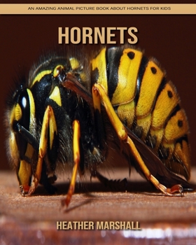 Paperback Hornets: An Amazing Animal Picture Book about Hornets for Kids Book