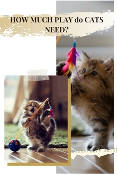 HOW MUCH PLAY dо CATS NEED?: How Often & How Long Should Playtime Be