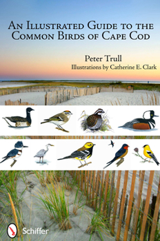 Paperback An Illustrated Guide to the Common Birds of Cape Cod Book