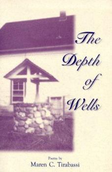 Paperback The Depth of Wells Book