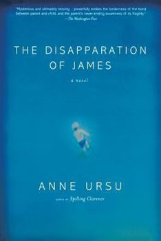 Paperback The Disapparation of James Book