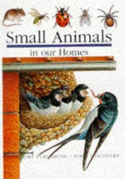 Hardcover Small Animals (First Discovery) Book