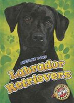 Labrador Retrievers - Book  of the Awesome Dogs