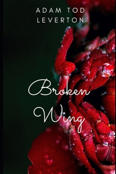 Paperback Broken Wing Book