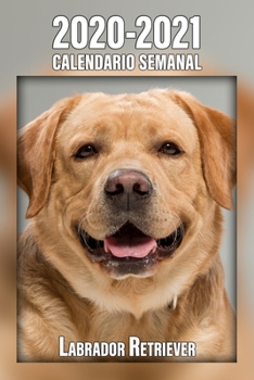 2020-2021 Calendario Semanal Labrador Retriever: 221 Páginas | Tamaño A5 | 24 Meses | 1 Semana en 2 Páginas | Planificador | Agenda Semana Vista | Canófilo | Perro | En Español (Spanish Edition)